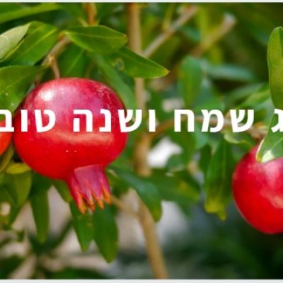 מכתב יו"ר האגודה לשנה החדשה