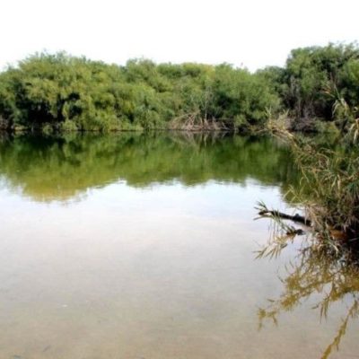 סיפורי נחל שקמה – ניר עם נידונה על המים