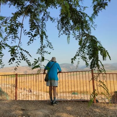 לזכרו של פרופסור אמנון בן תור | כתבה דלית וינבלט