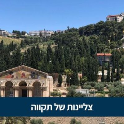 שנת היובל 2025 של העולם הקתולי